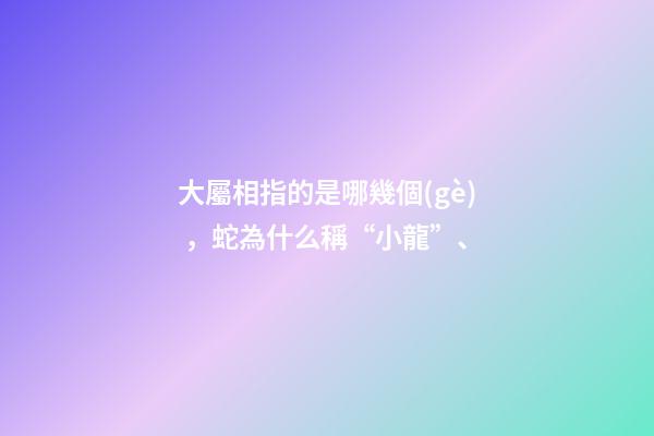 大屬相指的是哪幾個(gè)，蛇為什么稱“小龍”、